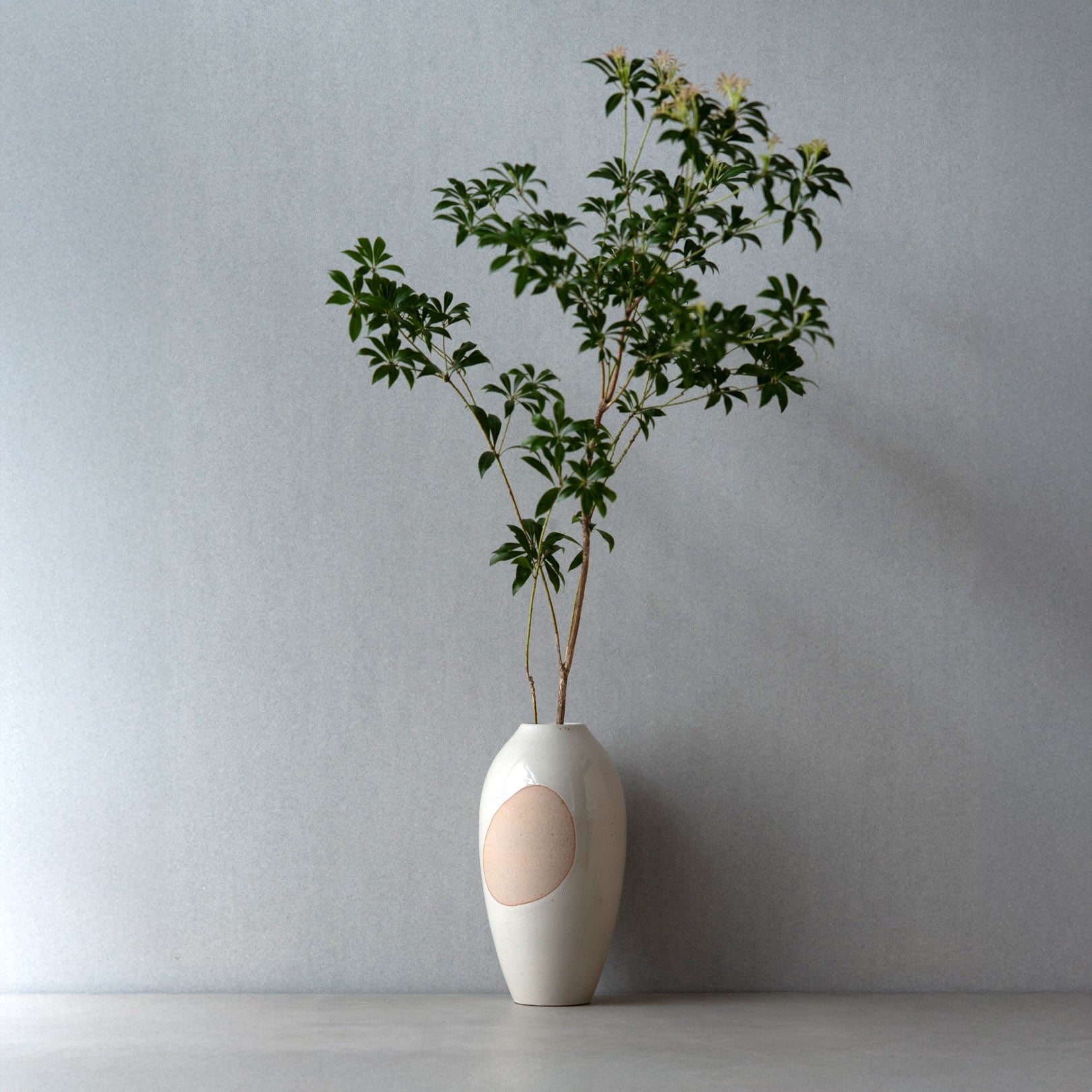 Handcrafted Shigaraki Big Vase inIvory, , – ma, made in Japan