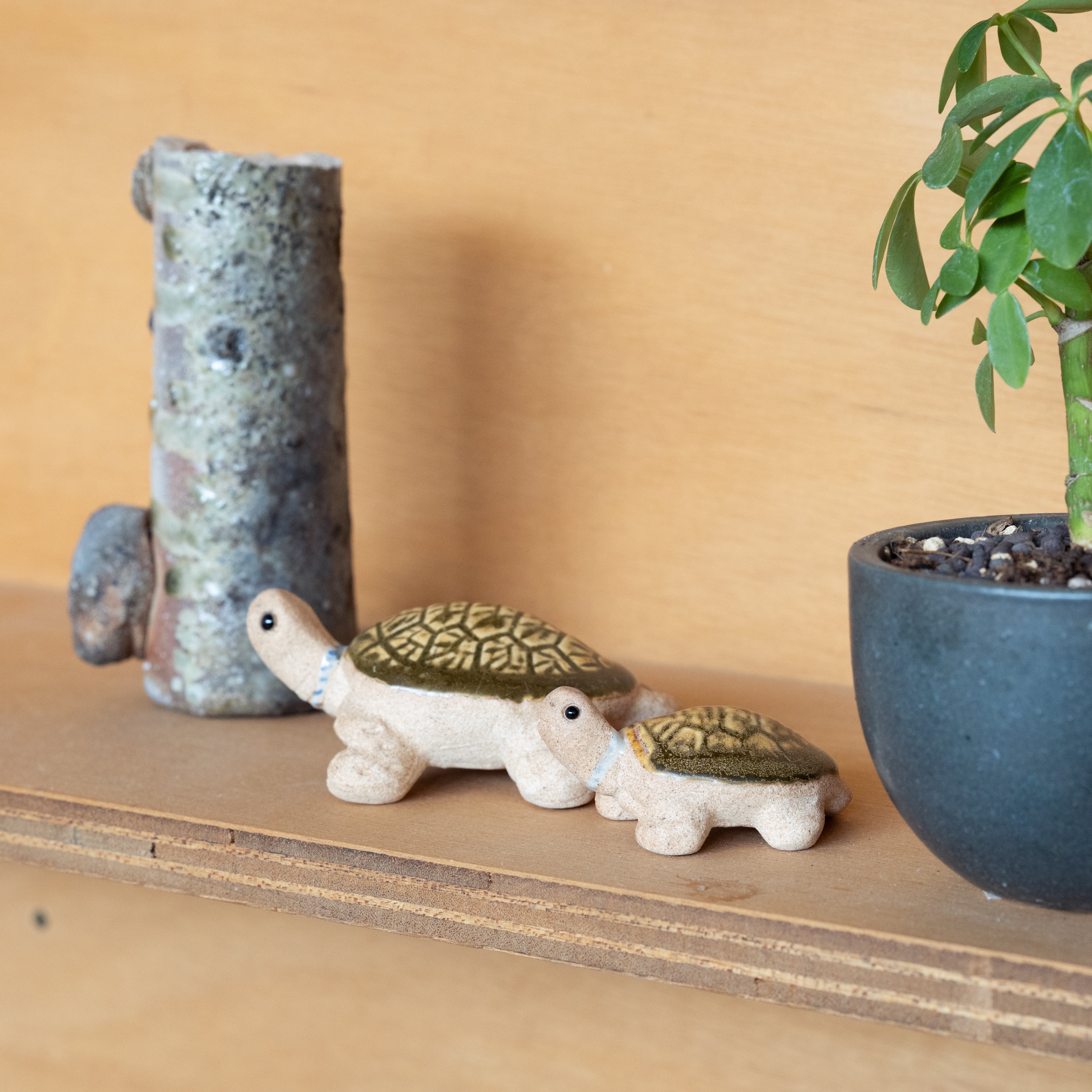 Handcrafted Shigaraki Hand Towel Turtle inNo.2, , – hoccori, made in Japan