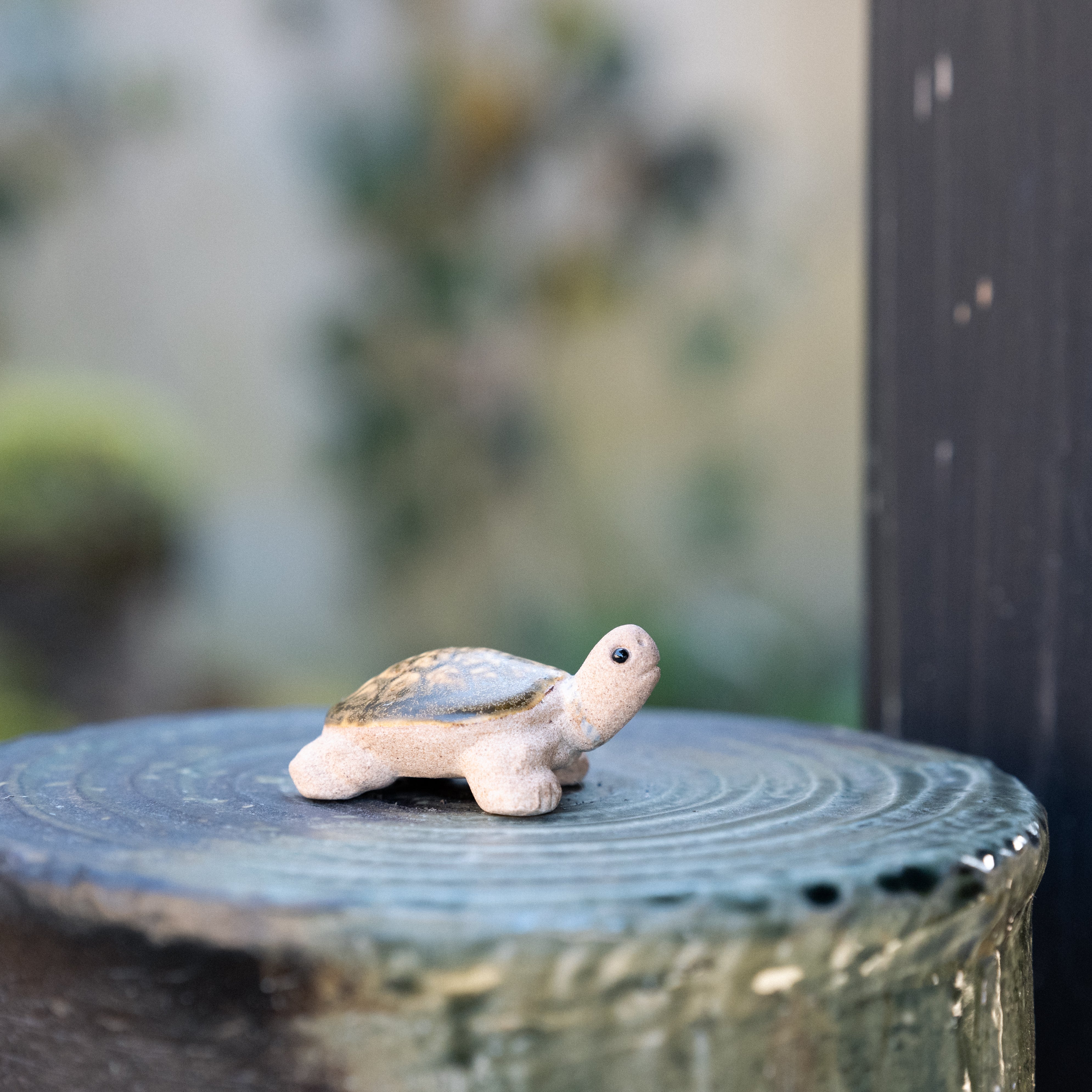 Handcrafted Shigaraki Hand Towel Turtle inNo.2, , – hoccori, made in Japan
