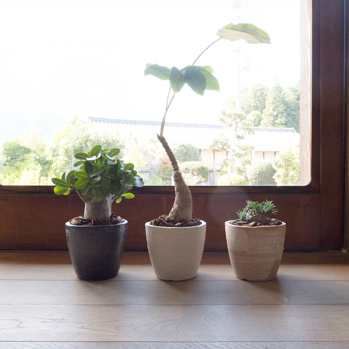 Flower Pot Drip Tray Set