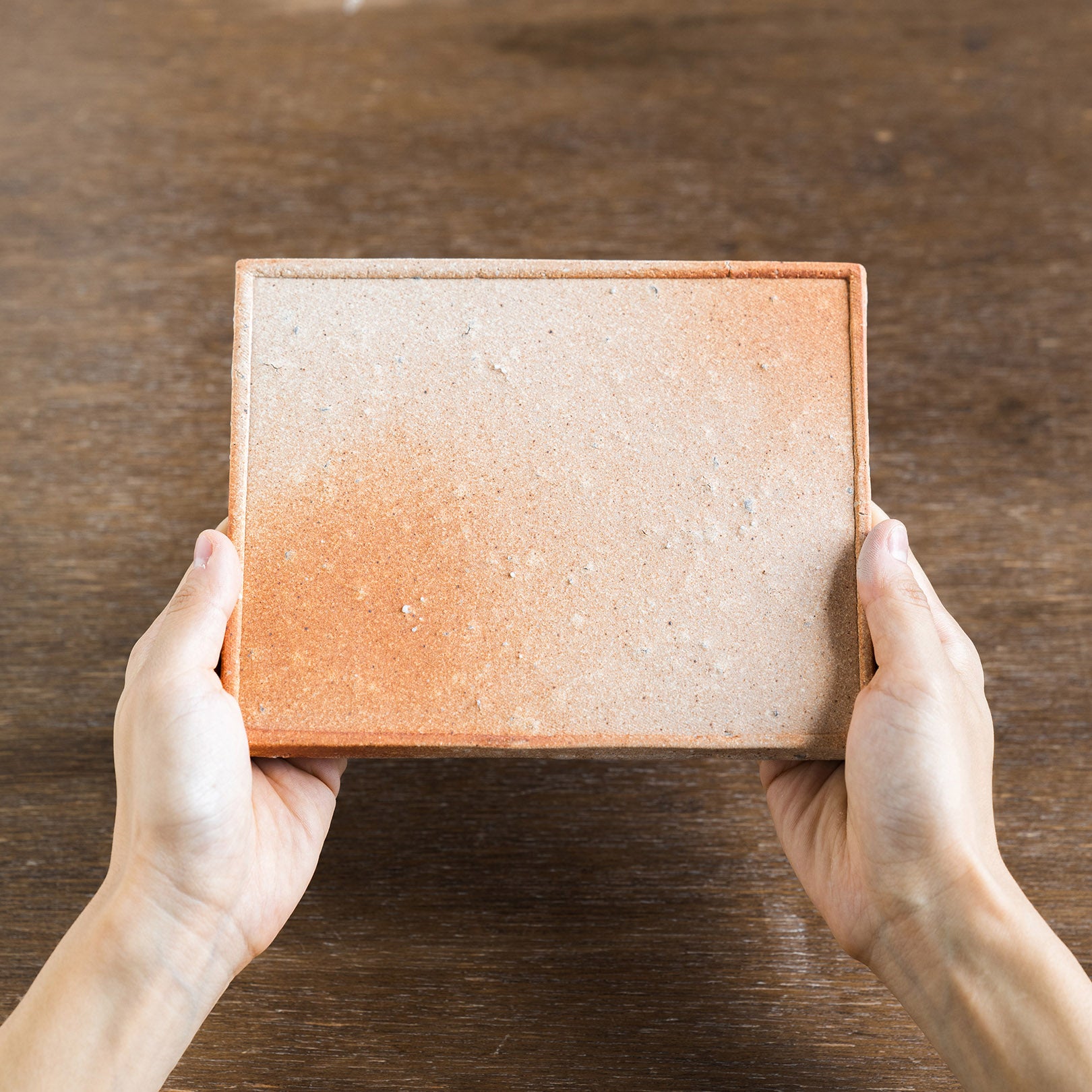 Square Plate M-handmade Shigaraki Tableware / Plates-Koshigaraki-Meizan Kiln