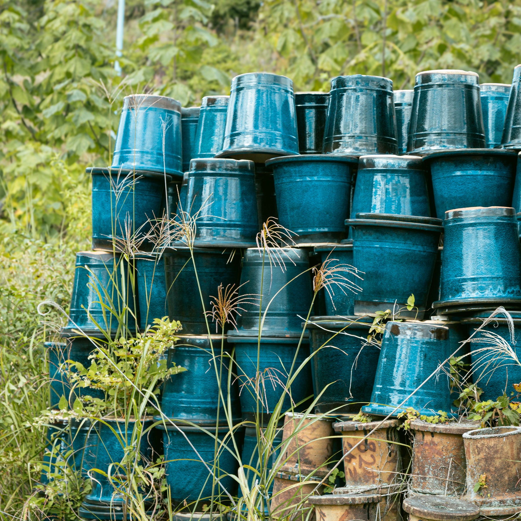 shigaraki8-Meizan Kiln