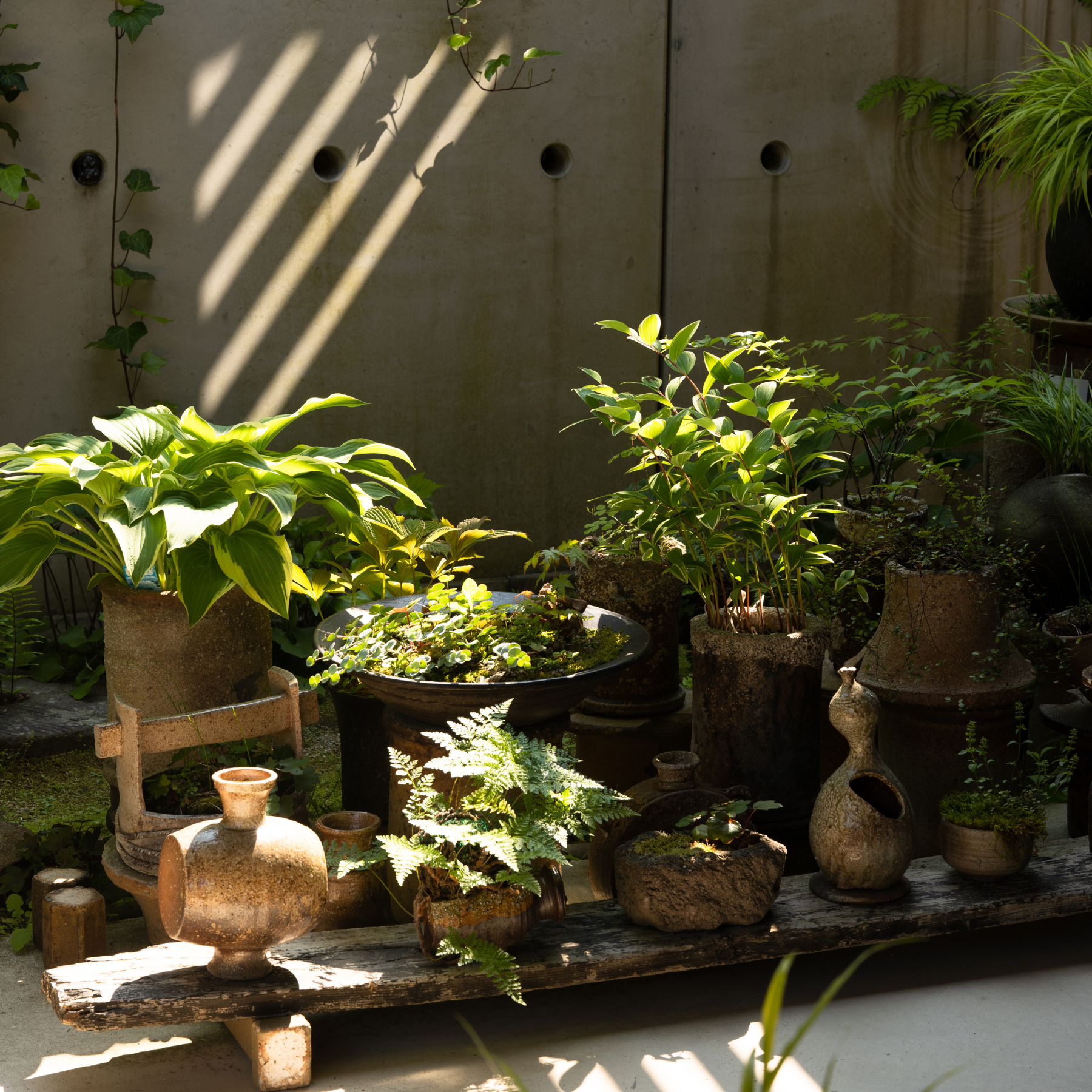 The Specialty of Shigaraki Ware ｜ Excursion into Pottery