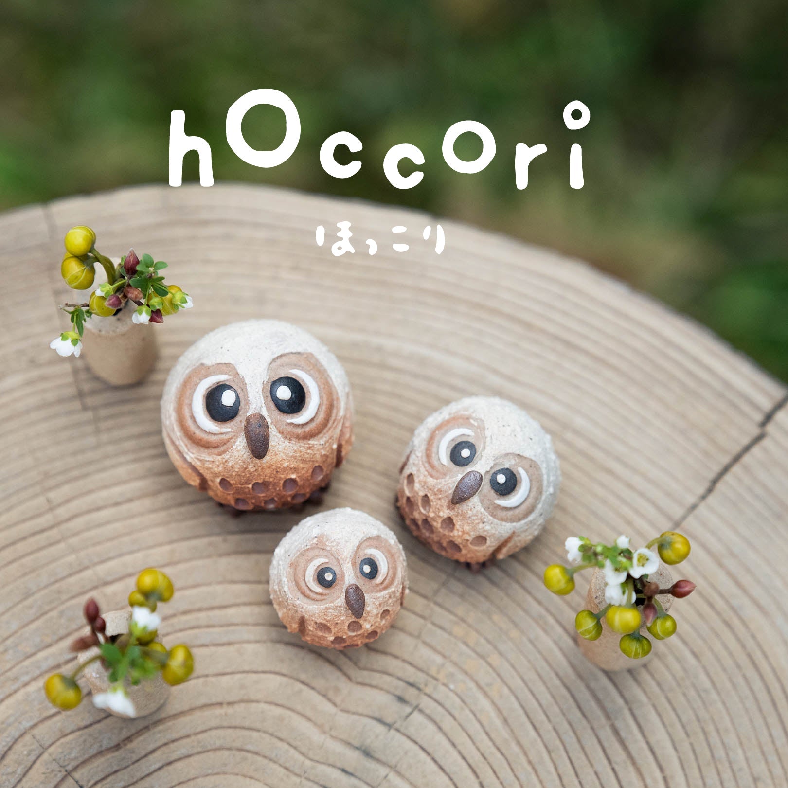 hoccori-Meizan Kiln