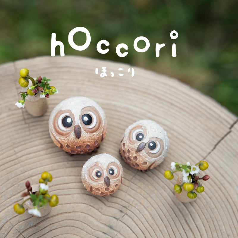 hoccori-Meizan Kiln