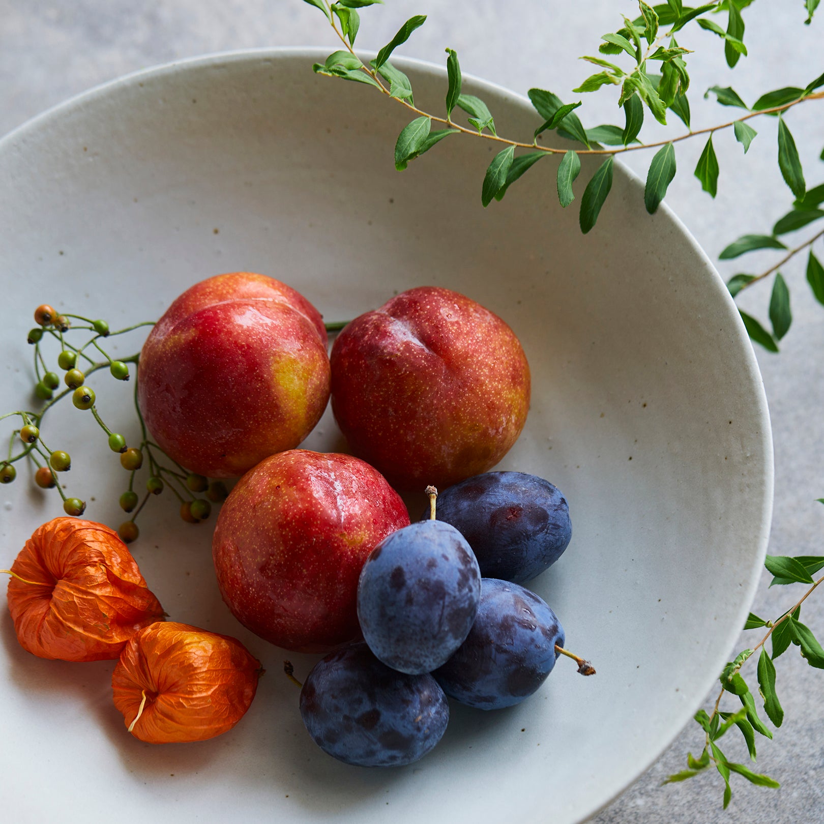 Decoration Bowl-handmade Shigaraki Homeware / Trays-HIJICA-Meizan Kiln