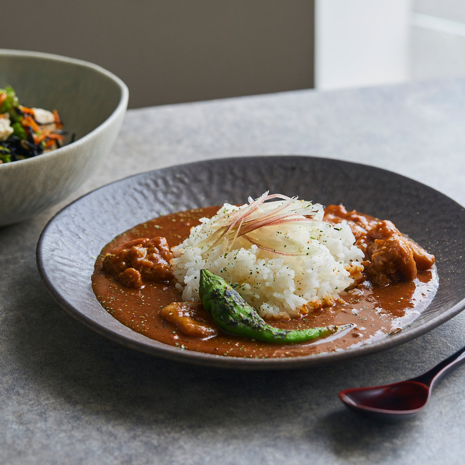 Dinner Plate 24cm-handmade Shigaraki Tableware / Plates-HIJICA-Meizan Kiln