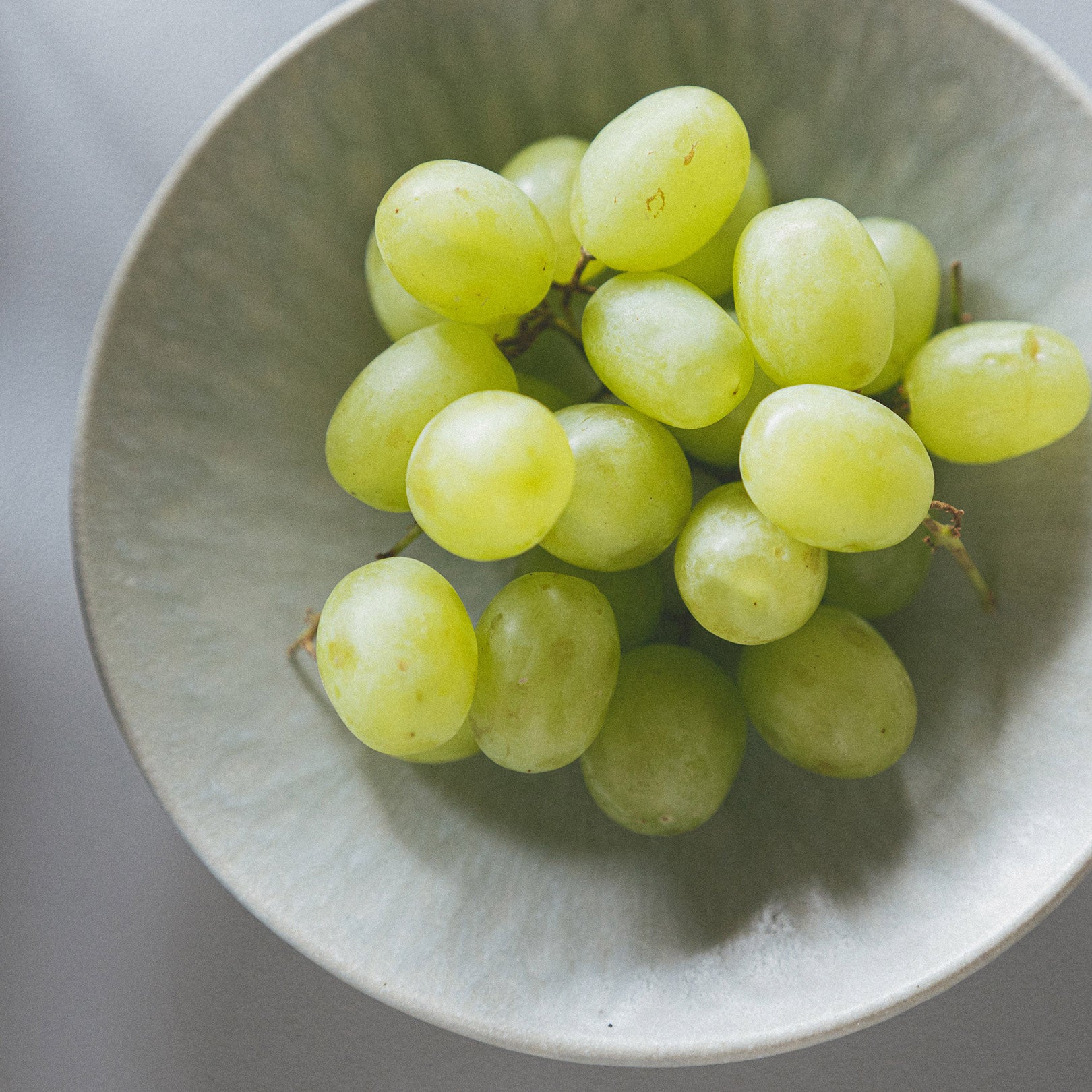 Salad Plate 19cm-handmade Shigaraki Tableware / Plates-HIJICA-Meizan Kiln