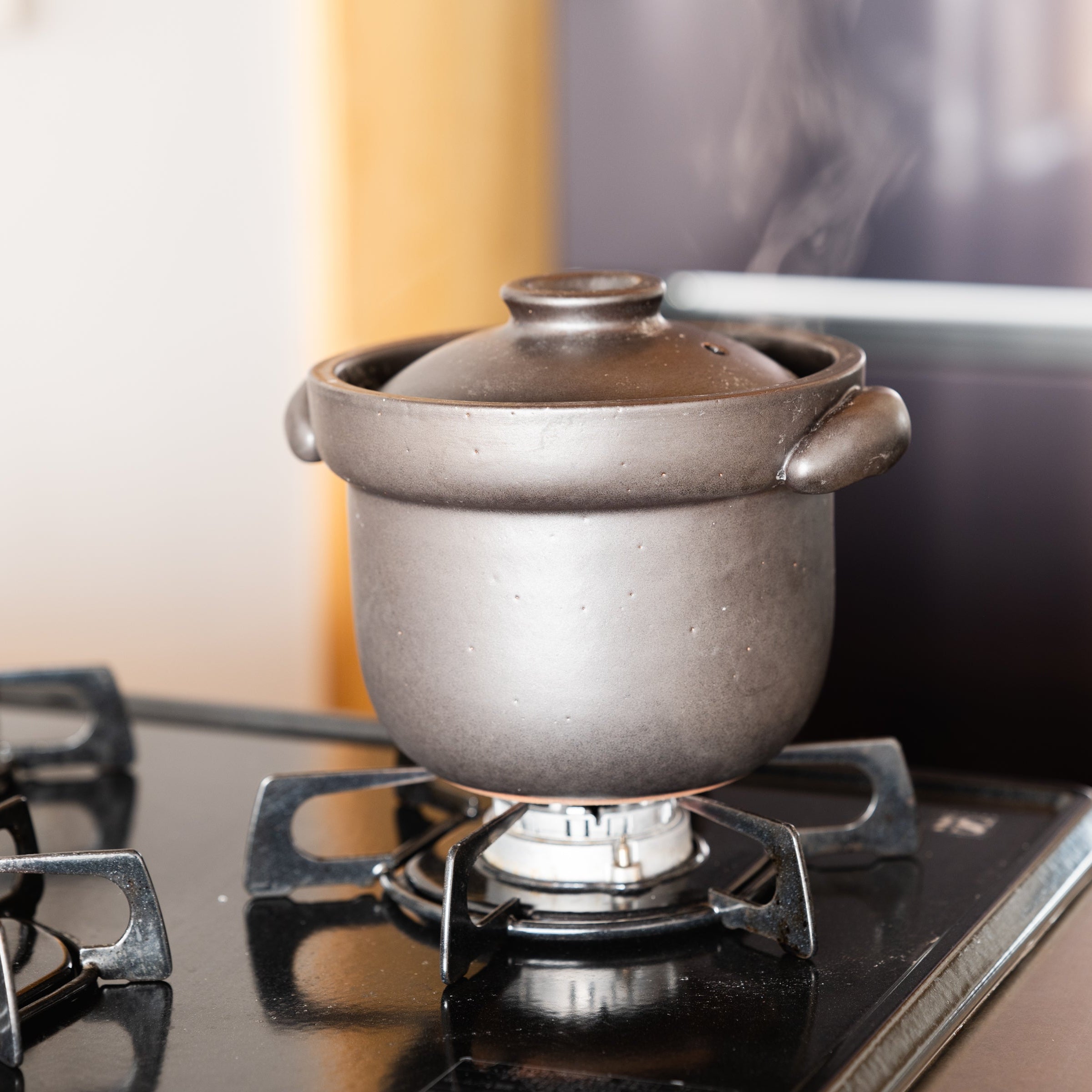 Rice Cooker for 2 Cups-handmade Shigaraki Kitchenware / Rice Cookers-Clay Cooking Utensils-Meizan Kiln