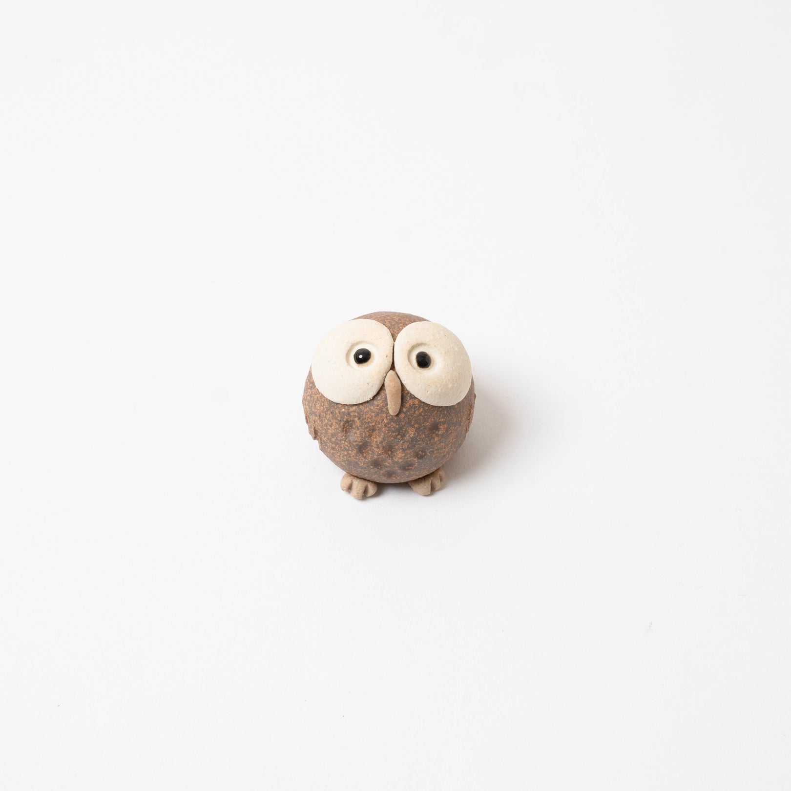 Small Owls L