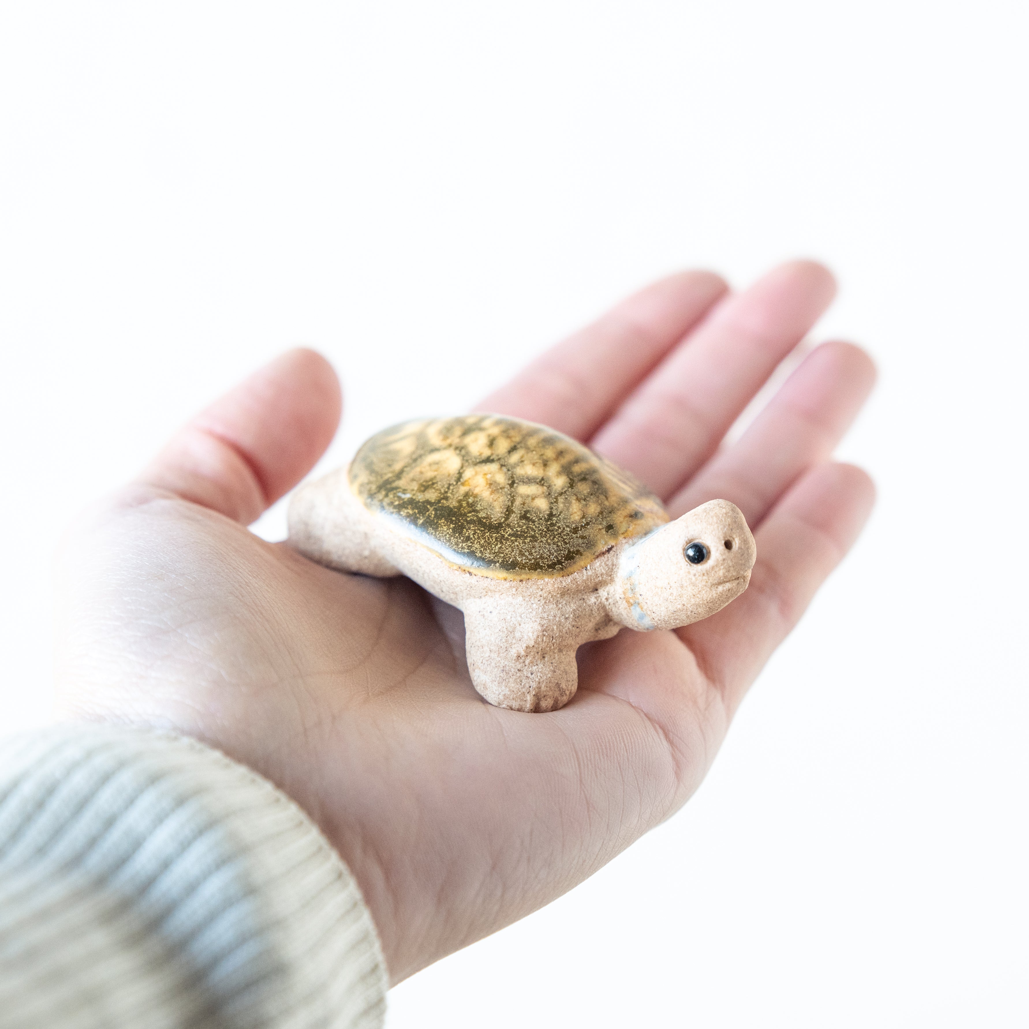 Handcrafted Shigaraki Hand Towel Turtle inNo.2, , – hoccori, made in Japan