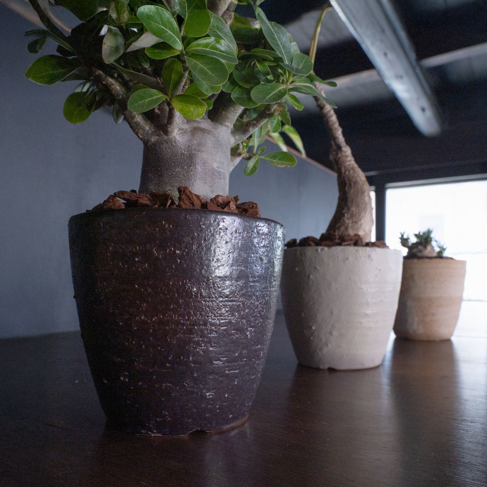 Flower Pot Drip Tray Set