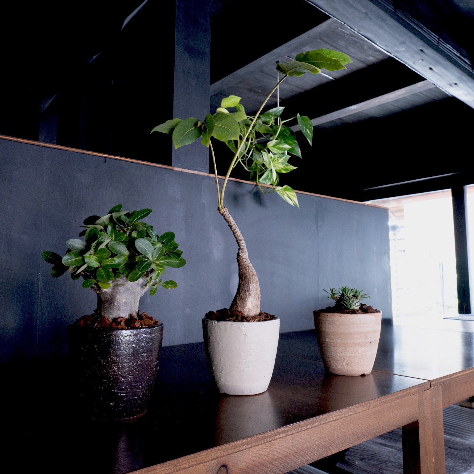 Flower Pot Drip Tray Set