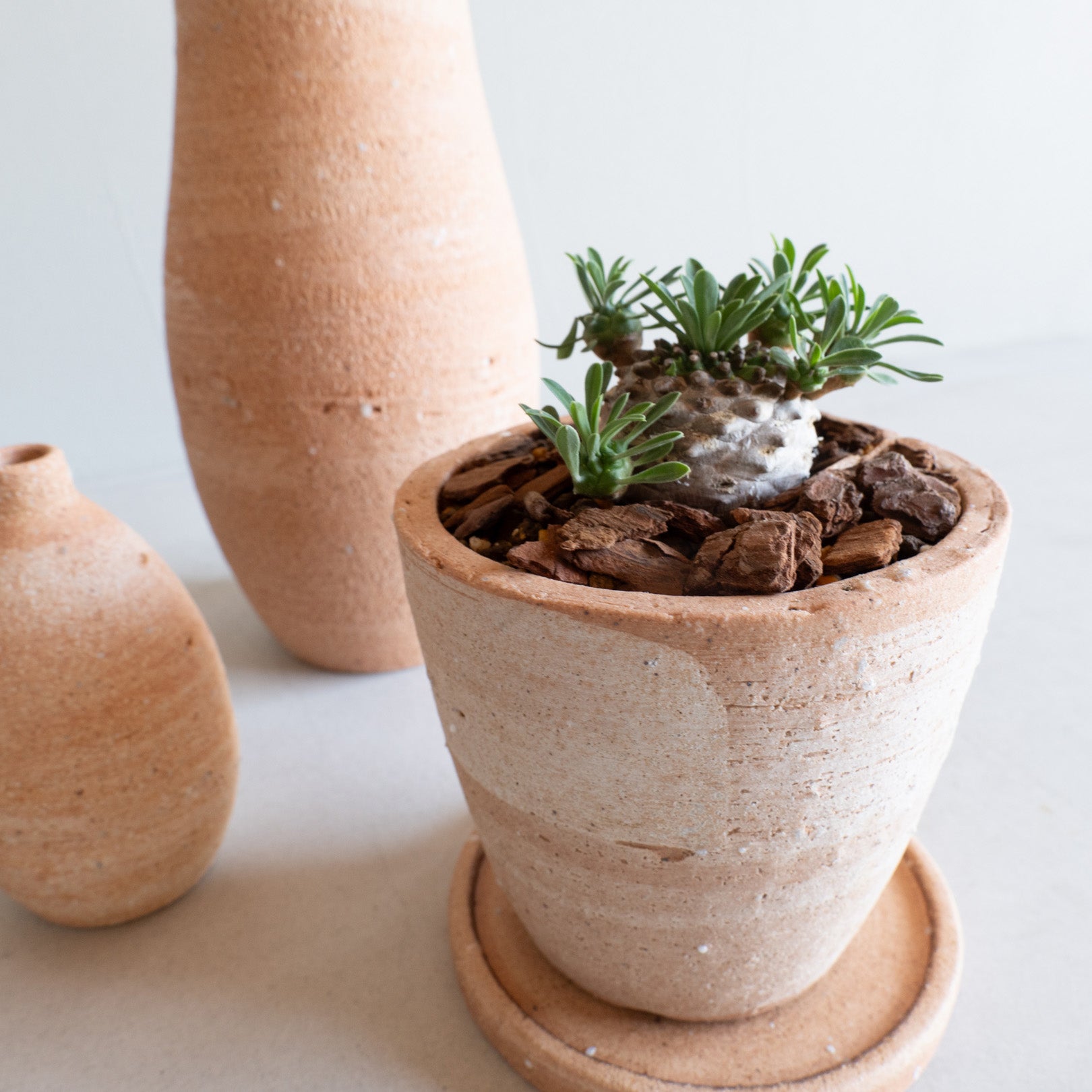 Flower Pot Drip Tray Set