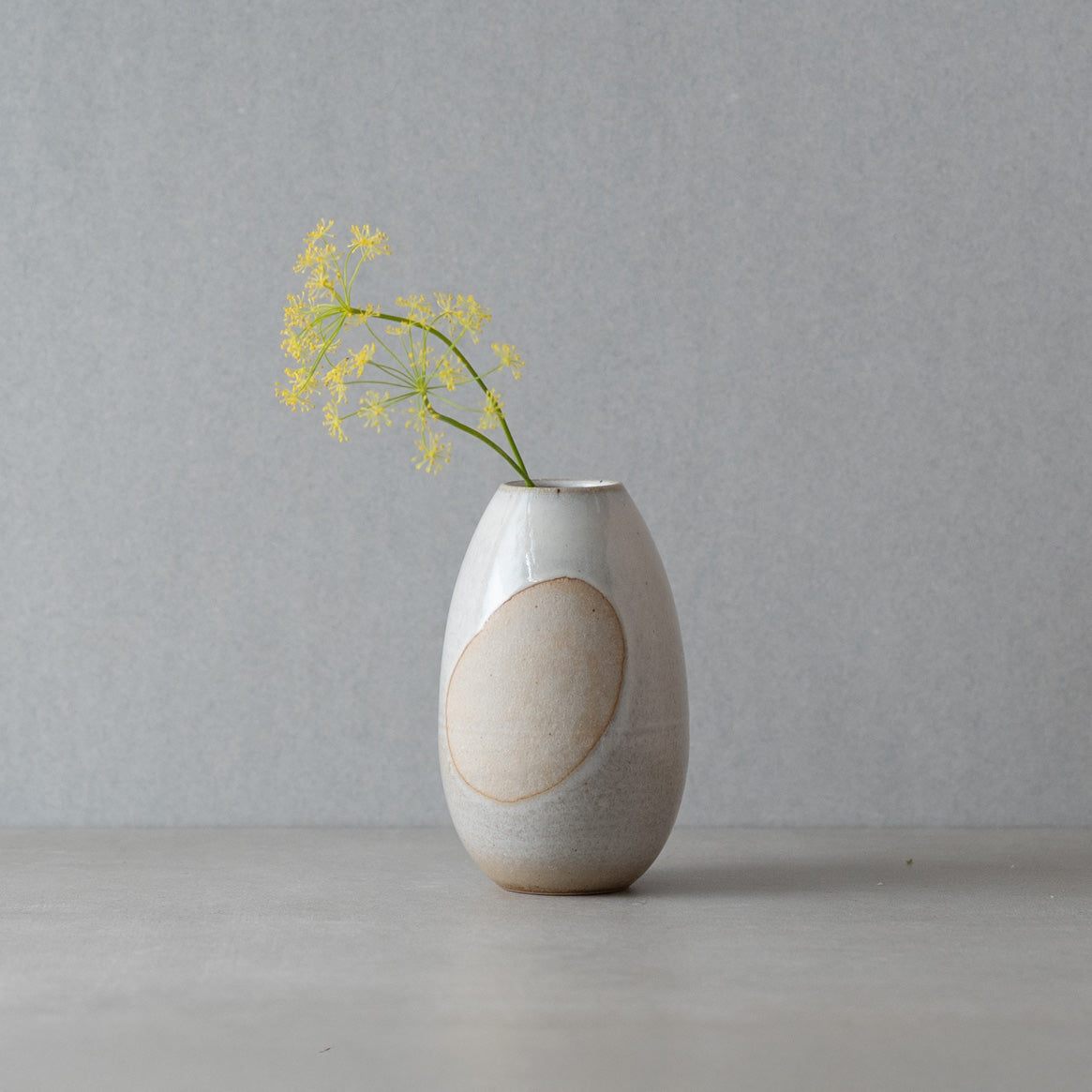 Handcrafted Shigaraki Medium Vase | Medium Vase