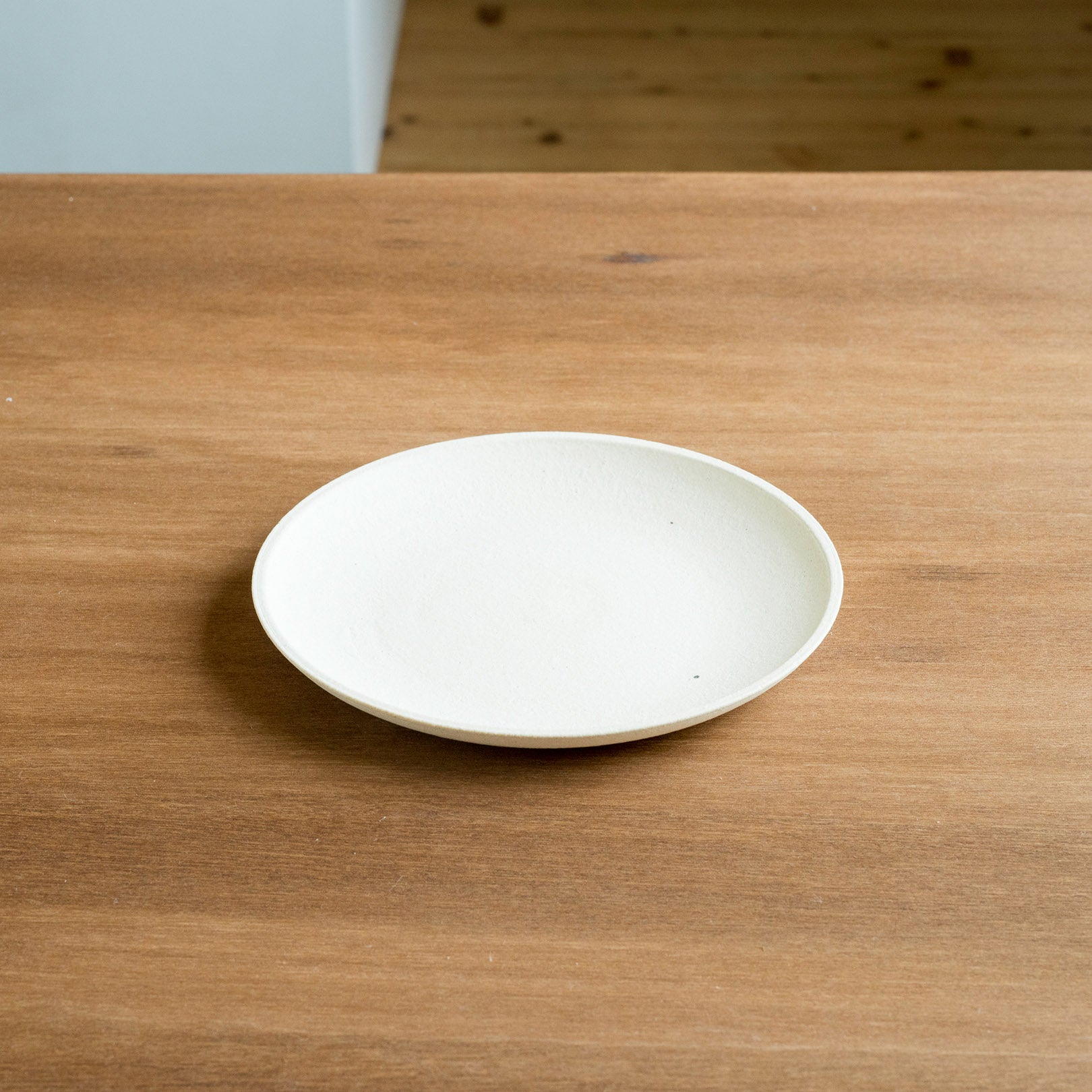 Handcrafted Shigaraki PLATE inSHIROTSUCHI, , – GRAIN WARE, made in Japan