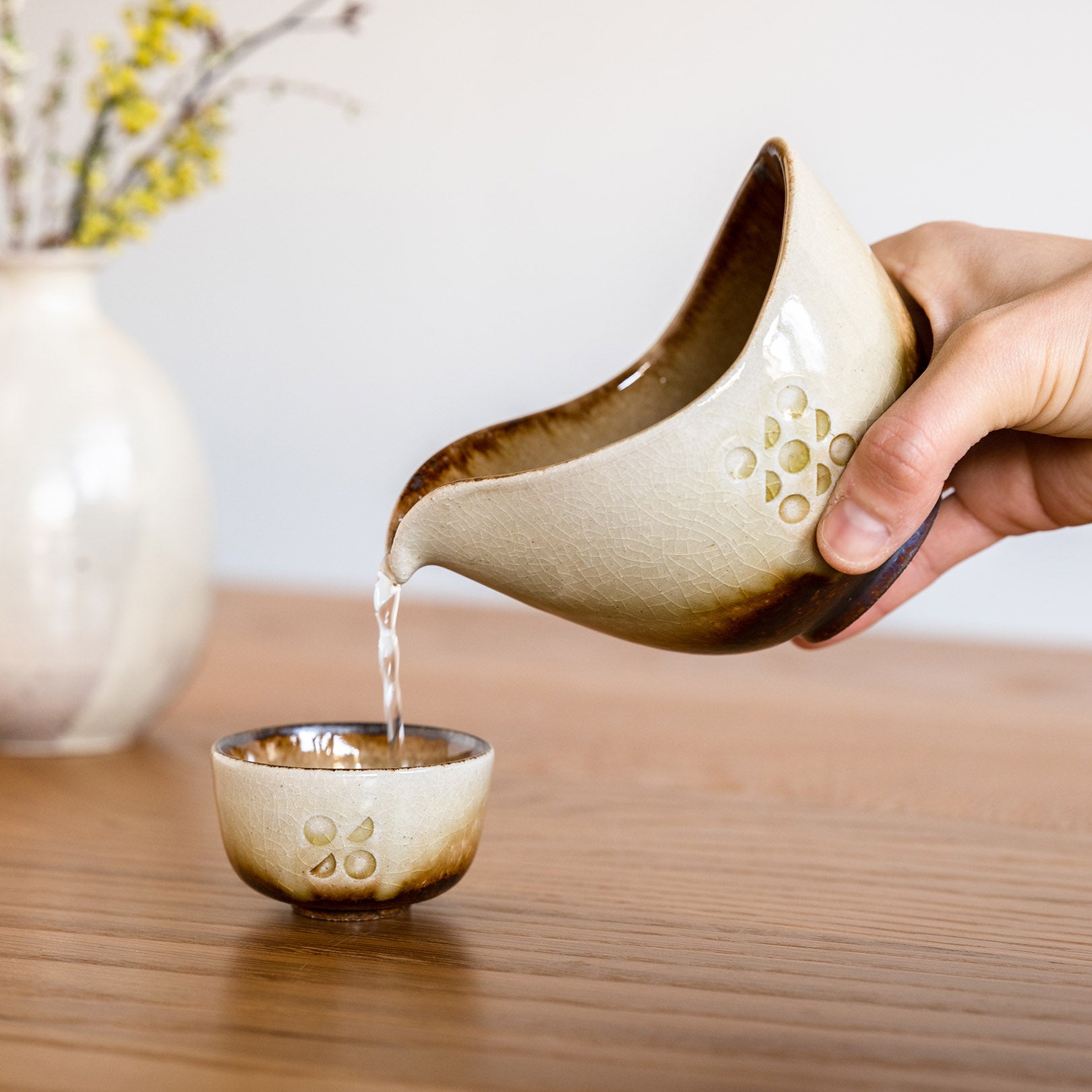 Handcrafted Shigaraki Sake Pitcher inCeladon, , – Hitotsuki, made in Japan