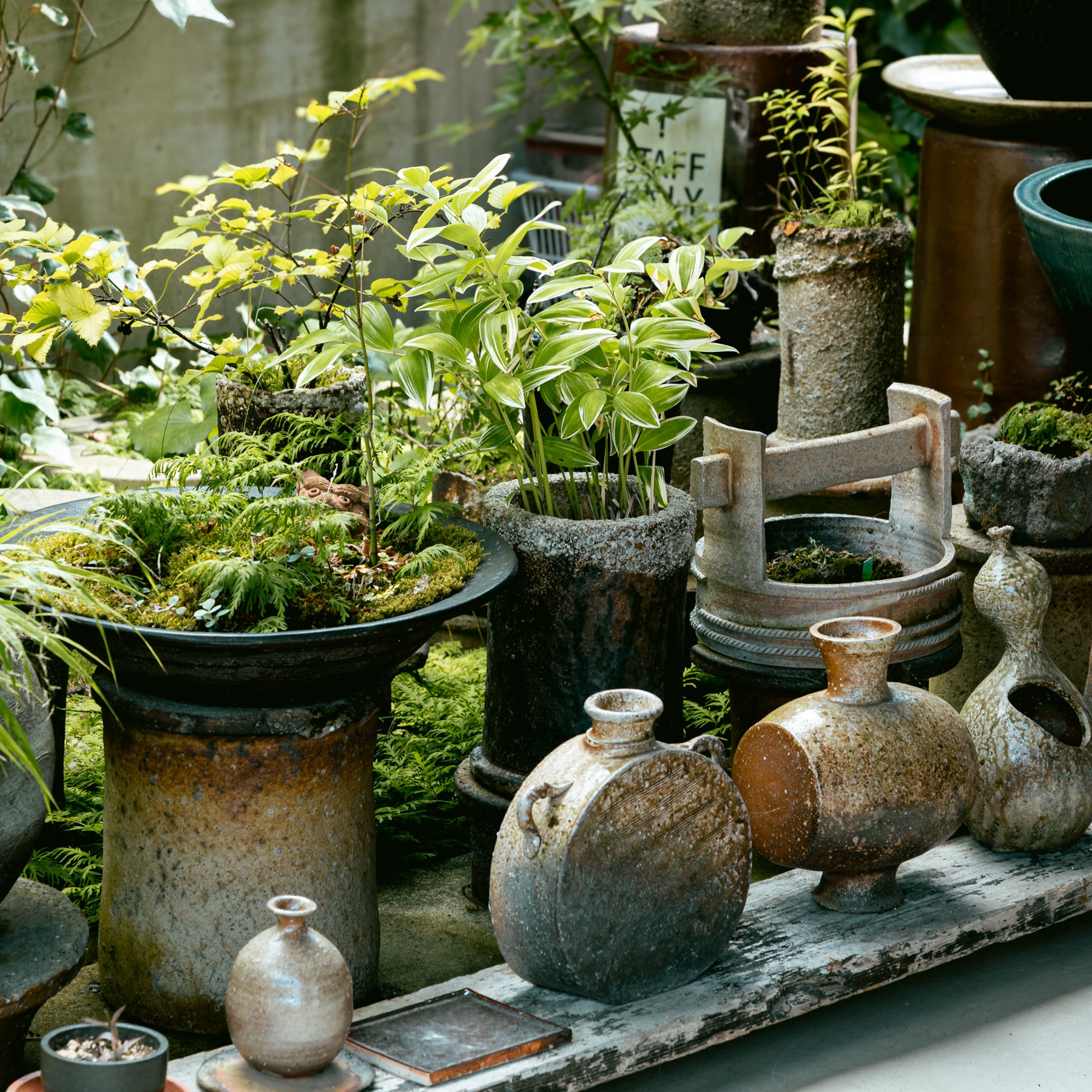 shigaraki10-Meizan Kiln