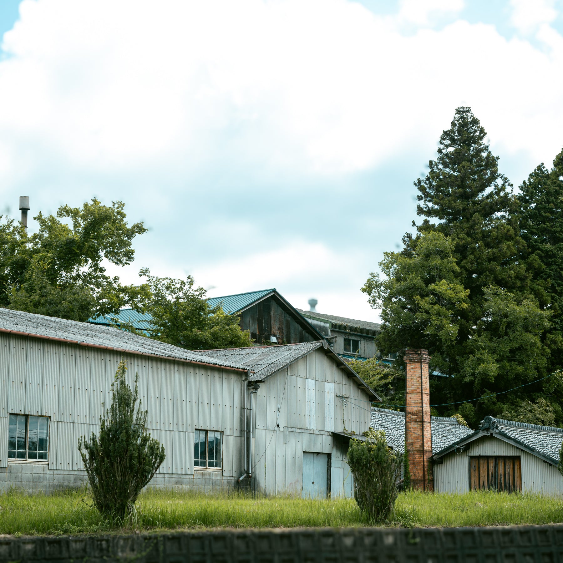 shigaraki11-Meizan Kiln