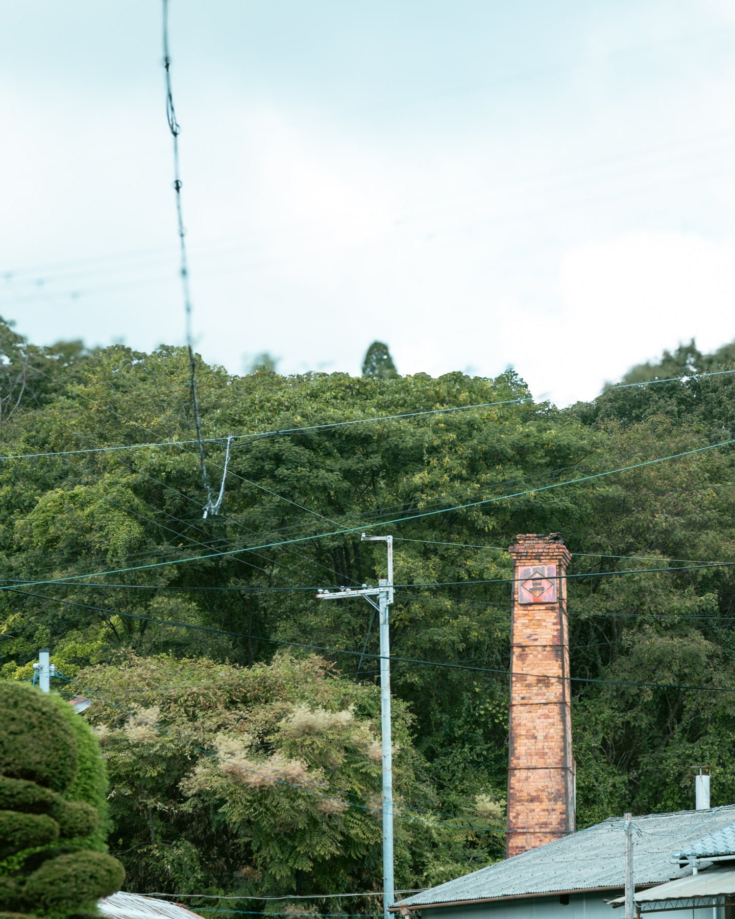 shigaraki6-Meizan Kiln